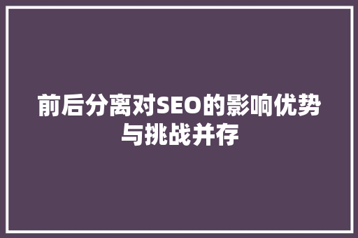 前后分离对SEO的影响优势与挑战并存