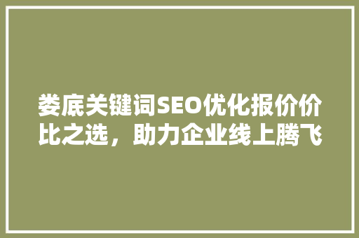 娄底关键词SEO优化报价价比之选，助力企业线上腾飞