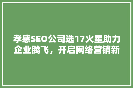 孝感SEO公司选17火星助力企业腾飞，开启网络营销新篇章