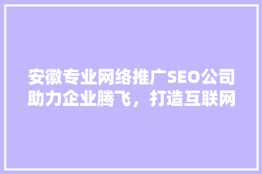安徽专业网络推广SEO公司助力企业腾飞，打造互联网时代核心竞争力