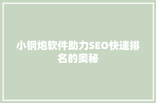 小钢炮软件助力SEO快速排名的奥秘