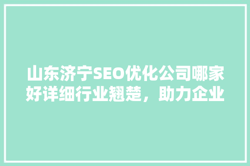 山东济宁SEO优化公司哪家好详细行业翘楚，助力企业互联网营销