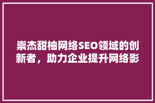 崇杰甜柚网络SEO领域的创新者，助力企业提升网络影响力