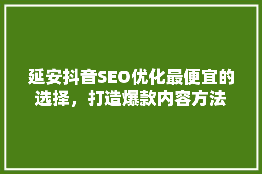 延安抖音SEO优化最便宜的选择，打造爆款内容方法