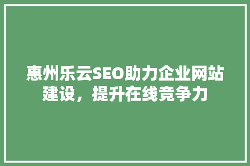惠州乐云SEO助力企业网站建设，提升在线竞争力
