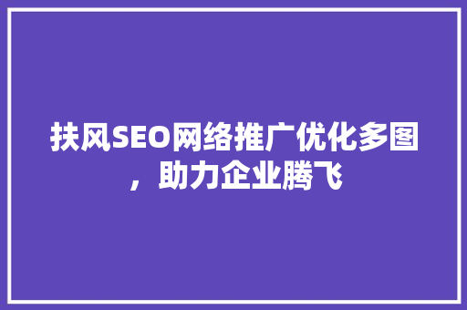 扶风SEO网络推广优化多图，助力企业腾飞