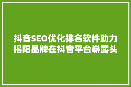 抖音SEO优化排名软件助力揭阳品牌在抖音平台崭露头角