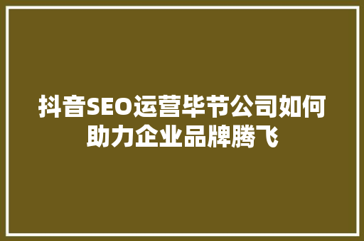 抖音SEO运营毕节公司如何助力企业品牌腾飞