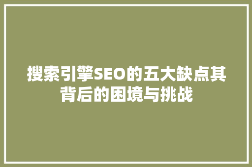 搜索引擎SEO的五大缺点其背后的困境与挑战