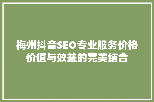 梅州抖音SEO专业服务价格价值与效益的完美结合