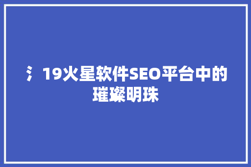 氵19火星软件SEO平台中的璀璨明珠