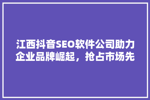 江西抖音SEO软件公司助力企业品牌崛起，抢占市场先机