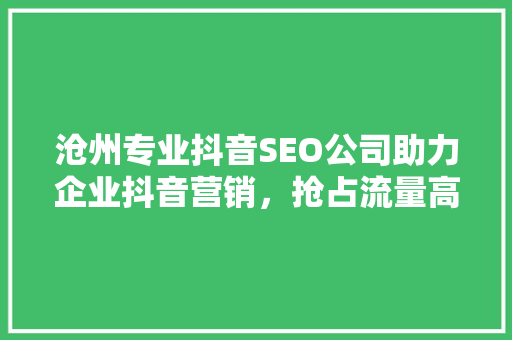 沧州专业抖音SEO公司助力企业抖音营销，抢占流量高地