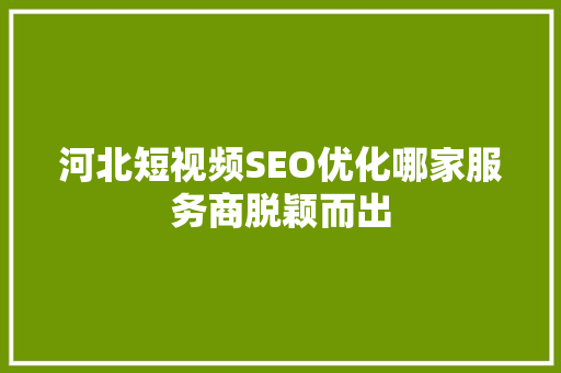河北短视频SEO优化哪家服务商脱颖而出