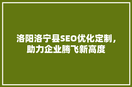 洛阳洛宁县SEO优化定制，助力企业腾飞新高度