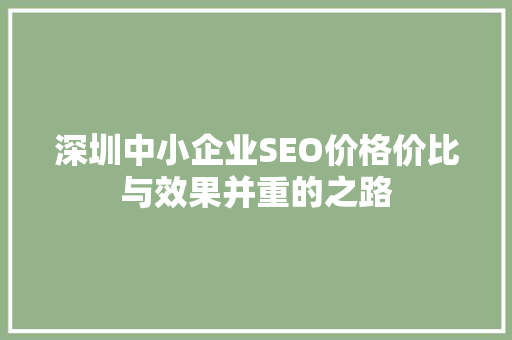 深圳中小企业SEO价格价比与效果并重的之路
