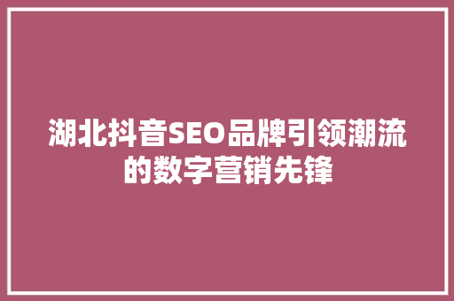 湖北抖音SEO品牌引领潮流的数字营销先锋