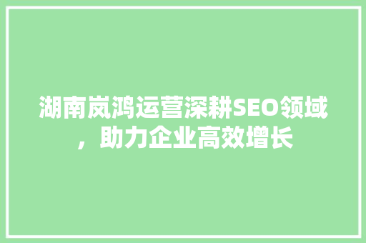 湖南岚鸿运营深耕SEO领域，助力企业高效增长