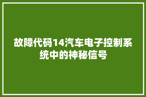 故障代码14汽车电子控制系统中的神秘信号