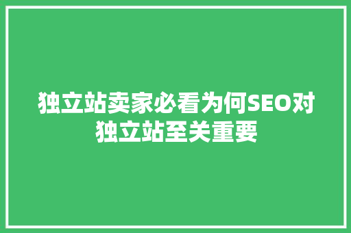 独立站卖家必看为何SEO对独立站至关重要