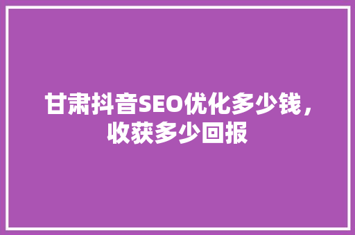 甘肃抖音SEO优化多少钱，收获多少回报