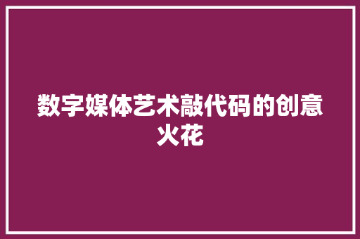 数字媒体艺术敲代码的创意火花