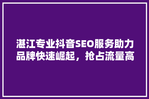 湛江专业抖音SEO服务助力品牌快速崛起，抢占流量高地