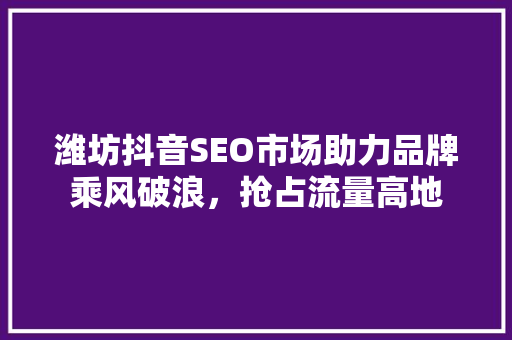 潍坊抖音SEO市场助力品牌乘风破浪，抢占流量高地  第1张
