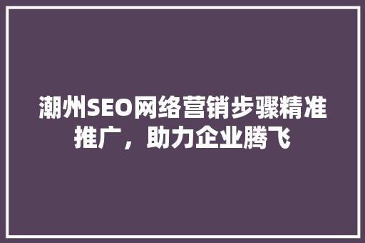 潮州SEO网络营销步骤精准推广，助力企业腾飞
