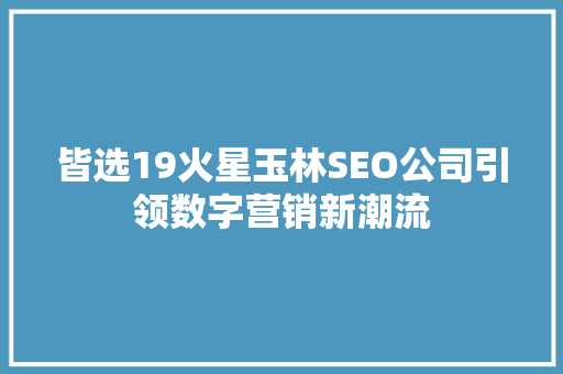 皆选19火星玉林SEO公司引领数字营销新潮流