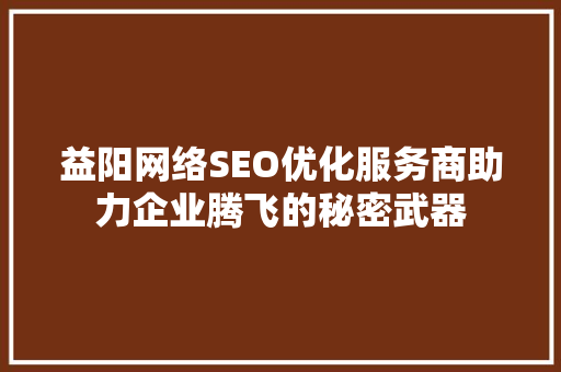 益阳网络SEO优化服务商助力企业腾飞的秘密武器