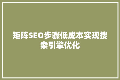 矩阵SEO步骤低成本实现搜索引擎优化