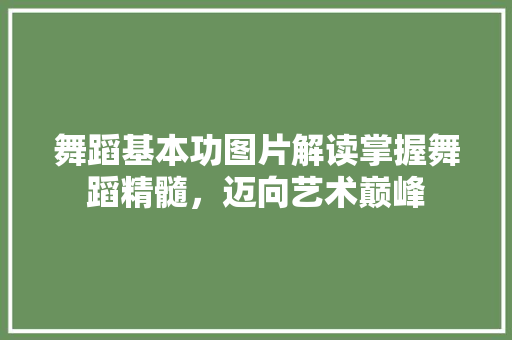 舞蹈基本功图片解读掌握舞蹈精髓，迈向艺术巅峰