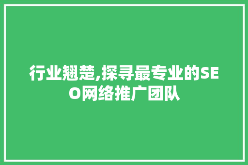 行业翘楚,探寻最专业的SEO网络推广团队