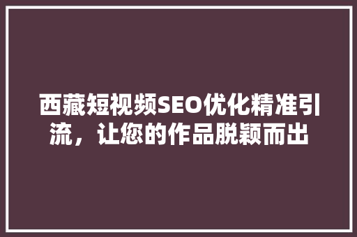 西藏短视频SEO优化精准引流，让您的作品脱颖而出