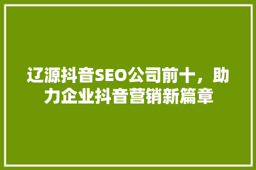 辽源抖音SEO公司前十，助力企业抖音营销新篇章