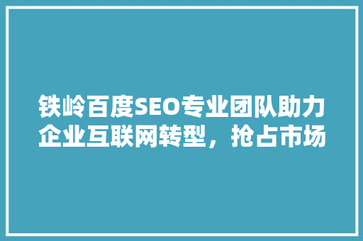 铁岭百度SEO专业团队助力企业互联网转型，抢占市场先机