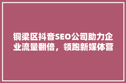 铜梁区抖音SEO公司助力企业流量翻倍，领跑新媒体营销新赛道