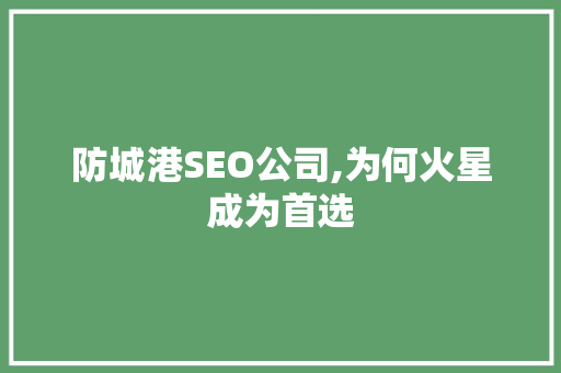 防城港SEO公司,为何火星成为首选