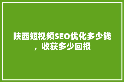 陕西短视频SEO优化多少钱，收获多少回报