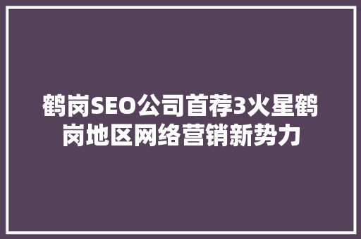 鹤岗SEO公司首荐3火星鹤岗地区网络营销新势力