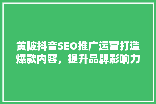 黄陂抖音SEO推广运营打造爆款内容，提升品牌影响力