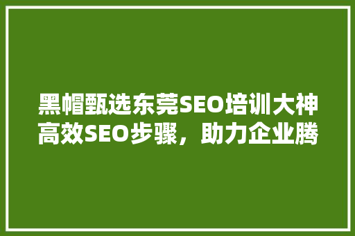 黑帽甄选东莞SEO培训大神高效SEO步骤，助力企业腾飞