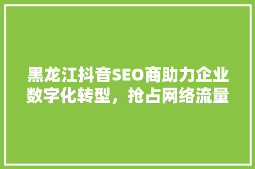 黑龙江抖音SEO商助力企业数字化转型，抢占网络流量新高地