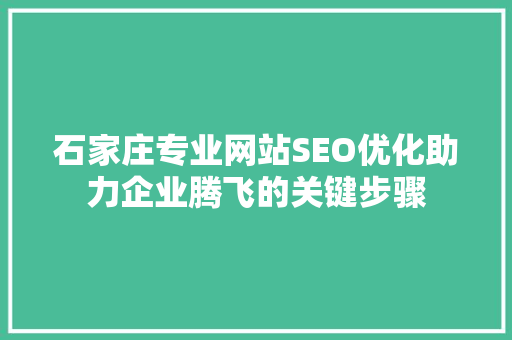 石家庄专业网站SEO优化助力企业腾飞的关键步骤