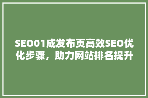 SEO01成发布页高效SEO优化步骤，助力网站排名提升