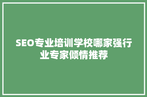 SEO专业培训学校哪家强行业专家倾情推荐