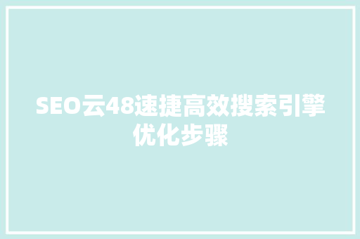 SEO云48速捷高效搜索引擎优化步骤