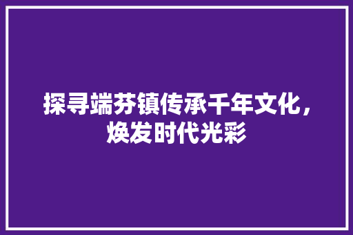 探寻端芬镇传承千年文化，焕发时代光彩
