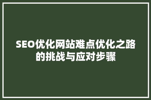 SEO优化网站难点优化之路的挑战与应对步骤
